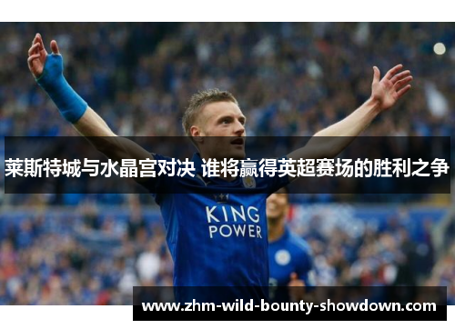 莱斯特城与水晶宫对决 谁将赢得英超赛场的胜利之争