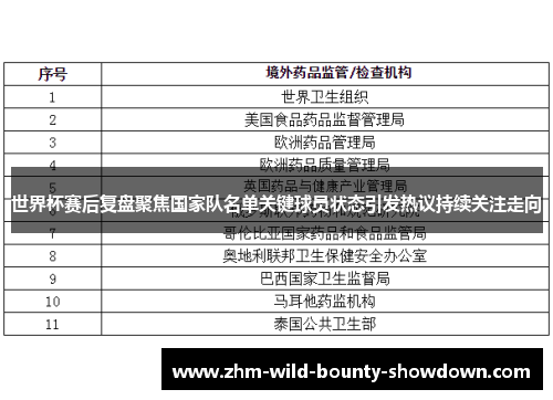 世界杯赛后复盘聚焦国家队名单关键球员状态引发热议持续关注走向